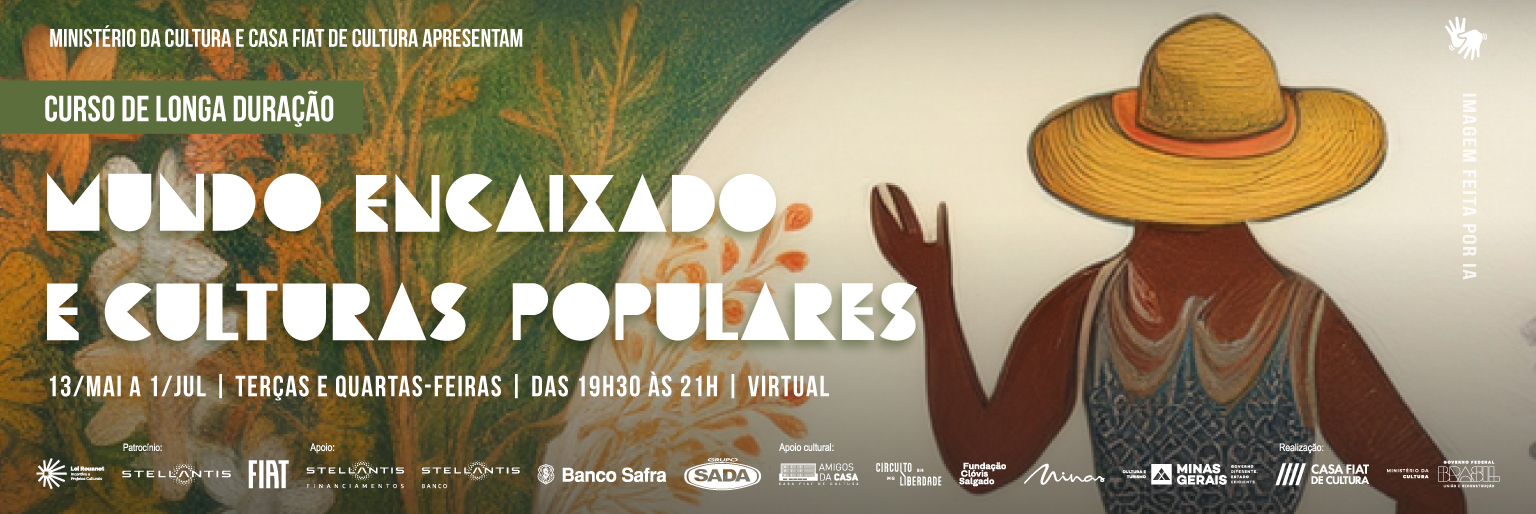 Curso de longa duração | Mundo encaixado e culturas populares
